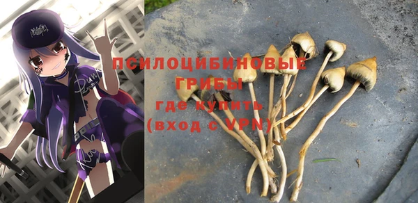 бошки Абаза